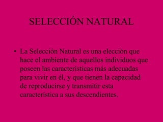 SELECCIÓN NATURAL
• La Selección Natural es una elección que
hace el ambiente de aquellos individuos que
poseen las características más adecuadas
para vivir en él, y que tienen la capacidad
de reproducirse y transmitir esta
característica a sus descendientes.
 