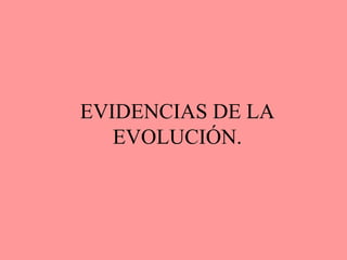EVIDENCIAS DE LA
EVOLUCIÓN.
 