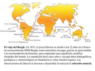 El viaje del Beagle. En 1831, el joven Darwin se enroló a los 22 años en el barco
de reconocimiento HMS Beagle como naturalista sin paga, gracias en gran medida
a la recomendación de Henslow, para emprender una expedición científica
alrededor del mundo. La expedición duró cinco años y recogió datos hidrográficos,
geológicos y meteorológicos en Sudamérica y otros muchos lugares. Las
observaciones de Darwin le llevaron a desarrollar la teoría de la selección natural.
 