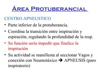 Regulacion de la ventilacion | PPT
