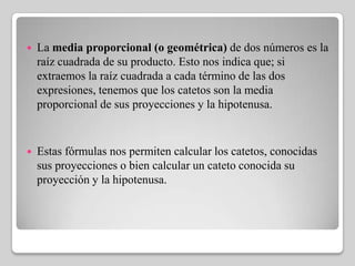 

La media proporcional (o geométrica) de dos números es la
raíz cuadrada de su producto. Esto nos indica que; si
extraemos la raíz cuadrada a cada término de las dos
expresiones, tenemos que los catetos son la media
proporcional de sus proyecciones y la hipotenusa.



Estas fórmulas nos permiten calcular los catetos, conocidas
sus proyecciones o bien calcular un cateto conocida su
proyección y la hipotenusa.

 
