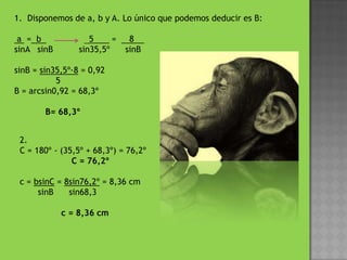 Disponemos de a, b y A. Lo único que podemos deducir es B: a = b m h h5 = 8 j sinAsinB sin35,5º sinBsinB = sin35,5º·8 = 0,92 5B = arcsin0,92 = 68,3º B= 68,3º2. C = 180º - (35,5º + 68,3º) = 76,2º C = 76,2º c = bsinC = 8sin76,2º = 8,36 cmsinB sin68,3 c = 8,36 cm