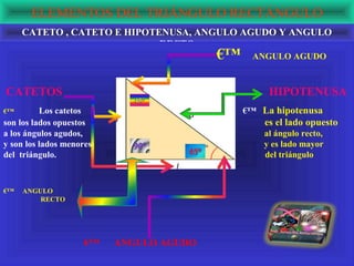 ELEMENTOS DEL TRIÁNGULO RECTÁNGULO
     CATETO , CATETO E HIPOTENUSA, ANGULO AGUDO Y ANGULO
                             RECTO
                                         €™    ANGULO AGUDO



CATETOS                                            HIPOTENUSA
€™        Los catetos                         €™ La hipotenusa
son los lados opuestos                            es el lado opuesto
a los ángulos agudos,                             al ángulo recto,
y son los lados menores                           y es lado mayor
del triángulo.                                    del triángulo



€™   ANGULO
         RECTO




                     €™   ANGULO AGUDO
 