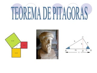 TEOREMA DE PITAGORAS 