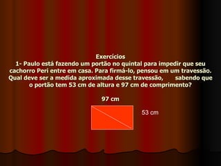 Exercícios 1- Paulo está fazendo um portão no quintal para impedir que seu cachorro Peri entre em casa. Para firmá-lo, pensou em um travessão. Qual deve ser a medida aproximada desse travessão,  sabendo que o portão tem 53 cm de altura e 97 cm de comprimento? 97 cm 53 cm 