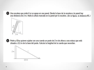Teorema de pitágoras