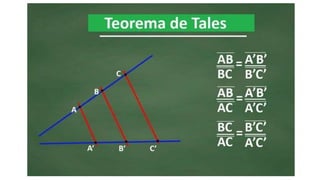 Teorema de tales
