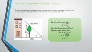 APLICACIONES DEL TEOREMA DE THALES EN LA VIDA REAL
Sirve para calcular alturas de edificios teniendo referencias de otros elementos que si que nos es fácil medir,
como por ejemplo un árbol y ayudándonos en los rayos del sol, las proyecciones de sobra.
Escribimos la proporción:
6
5
=
270
ℎ
(Siendo h la altura del edificio)
Resolvemos la proporción:
6 × 𝑥 = 270 × 5
𝑥 =
1350
6
𝑥 = 225
 