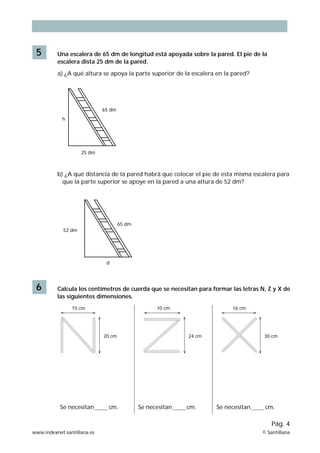 5        Una escalera de 65 dm de longitud está apoyada sobre la pared. El pie de la
          escalera dista 25 dm de la pared.

          a) ¿A qué altura se apoya la parte superior de la escalera en la pared?




                             65 dm
            h




                    25 dm



          b) ¿A qué distancia de la pared habrá que colocar el pie de esta misma escalera para
            que la parte superior se apoye en la pared a una altura de 52 dm?




                                     65 dm
            52 dm




                              d




 6        Calcula los centímetros de cuerda que se necesitan para formar las letras N, Z y X de
          las siguientes dimensiones.
                15 cm                              10 cm                  16 cm




                             20 cm                          24 cm                    30 cm




           Se necesitan        cm.           Se necesitan   cm.     Se necesitan     cm.

                                                                                        Pág. 4
www.indexnet.santillana.es                                                          © Santillana
 