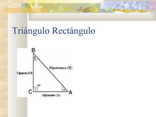 Triángulo Rectángulo
 