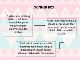 Tingkah laku binatang
dalam kotak boleh
dikawal dan gerak
balasnya boleh
diperhatikan dan
direkod.
Kajian ini membawa beliau
kepada penggunaan teori
pelaziman operan dalam
aktiviti P&P dalam bilik
darjah
Teori pelaziman operan boleh
diperkuat dan dihapuskan jika
diberikan peneguhan sebaik
sahaja gerakbalas itu ditunjukkan
SKINNER BOX
 
