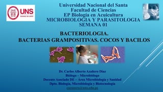 Universidad Nacional del Santa
Facultad de Ciencias
EP Biología en Acuicultura
MICROBIOLOGIA Y PARASITOLOGIA
SEMANA 01
Dr. Carlos Alberto Azañero Díaz
Biólogo – Microbiólogo
Docente Asociado DE – Área Microbiología y Sanidad
Dpto. Biología, Microbiología y Biotecnología
cazanero@uns.edu.pe
BACTERIOLOGIA.
BACTERIAS GRAMPOSITIVAS. COCOS Y BACILOS
 