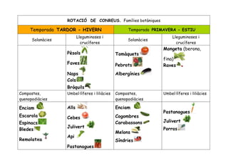 ROTACIÓ DE CONREUS. Famílies botàniques

     Temporada TARDOR - HIVERN                          Temporada PRIMAVERA - ESTIU
                                 Lleguminoses i                                 Lleguminoses i
      Solanàcies                                        Solanàcies
                                   crucíferes                                     crucíferes
                                                                           Mongeta (berona,
                   Pèsols                         Tomàquets             




                                                                           fina)
                   Faves
                                                                                 




                                                  Pebrots       
                                                                           Raves     




                   Naps                           Albergínies
                   Cols
                   Bròquils
Compostes,         Umbel·líferes i liliàcies      Compostes,               Umbel·líferes i liliàcies
quenopodiàcies                                    quenopodiàcies

Enciam             Alls                           Enciam
                                                                           Pastanagues
                              




Escarola           Cebes                          Cogombres
                                                                           Julivert
                                      




Espinacs                                          Carabassons
                   Julivert                                                Porros
Bledes
                                          




                                                  Melons
                                                                                         




                   Api
                                                            




Remolatxa                                         Síndries
                          




             




                                                                    




                   Pastanagues
 