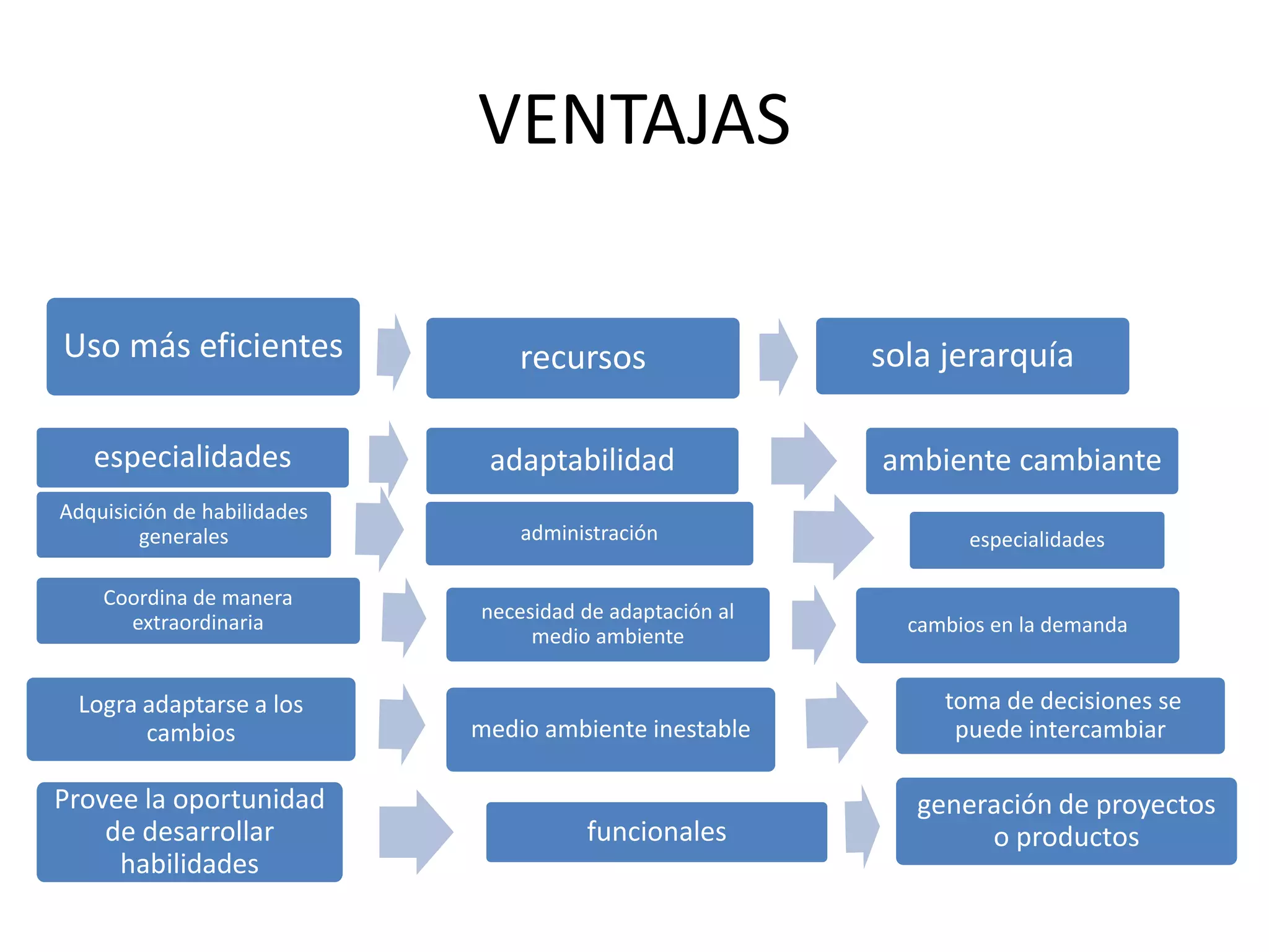 VENTAJASUso más eficientes sola jerarquíarecursos especialidadesadaptabilidadambiente cambianteAdquisición de habilidades generales administraciónespecialidadesCoordina de manera extraordinariacambios en la demandanecesidad de adaptación al medio ambiente Logra adaptarse a los cambios toma de decisiones se puede intercambiarmedio ambiente inestablegeneración de proyectos o productosProvee la oportunidad  de desarrollar habilidades funcionales