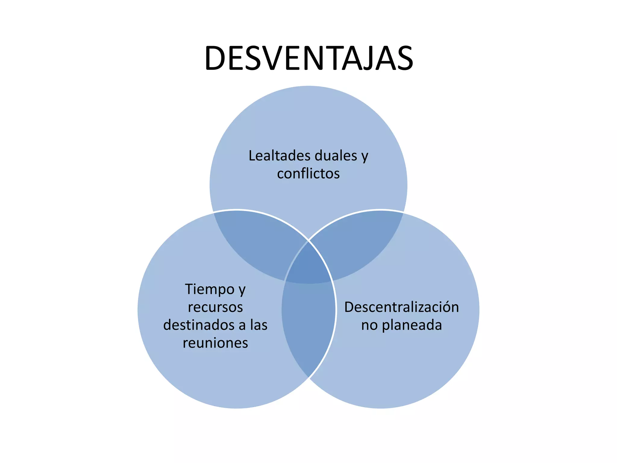 Estructura en que la empresa se compone de equipos que coordinan su labor y que trabajan directamente con los clientes para alcanzar metas globales. 