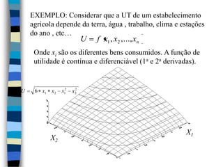 EXEMPLO: Considerar que a UT de um estabelecimento agrícola dependeda terra, água, trabalho, clima e estações do ano, etc…Onde xisão os diferentes bens consumidos. A função de utilidade é contínua e diferenciável (1a e 2a derivadas).X1X2