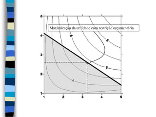 Maximização da utilidade com restrição orçamentária