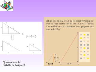 Quan mesura la
cistella de bàsquet?
 