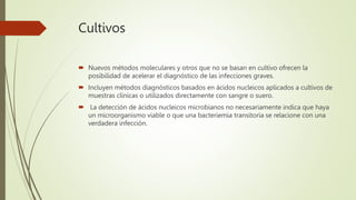 Cultivos
 Nuevos métodos moleculares y otros que no se basan en cultivo ofrecen la
posibilidad de acelerar el diagnóstico de las infecciones graves.
 Incluyen métodos diagnósticos basados en ácidos nucleicos aplicados a cultivos de
muestras clínicas o utilizados directamente con sangre o suero.
 La detección de ácidos nucleicos microbianos no necesariamente indica que haya
un microorganismo viable o que una bacteriemia transitoria se relacione con una
verdadera infección.
 