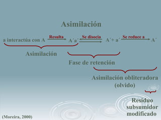 Asimilación  a interactúa con A Resulta  Se disocia  A´+ a´ Se reduce a  A´ A´a´ Asimilación  Fase de retención  Asimilaci...