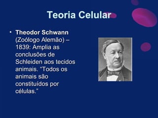 Theodor Schwann  (Zoólogo Alemão) – 1839: Amplia as conclusões de Schleiden aos tecidos animais. “Todos os animais são constituídos por células.” 