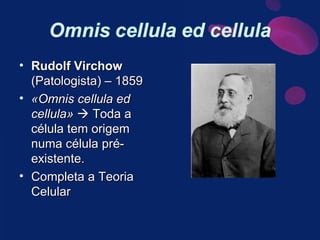 Rudolf Virchow  (Patologista) – 1859 «Omnis cellula ed cellula»    Toda a célula tem origem numa célula pré-existente. Completa a Teoria Celular 