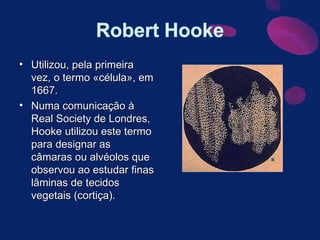 Utilizou, pela primeira vez, o termo «célula», em 1667.  Numa comunicação à Real Society de Londres, Hooke utilizou este termo para designar as câmaras ou alvéolos que observou ao estudar finas lâminas de tecidos vegetais (cortiça). 