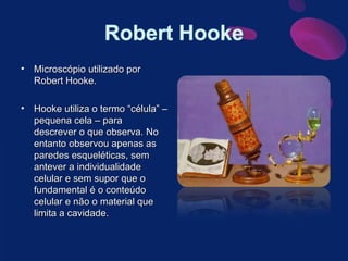 Microscópio utilizado por Robert Hooke. Hooke utiliza o termo “célula” – pequena cela – para descrever o que observa. No entanto observou apenas as paredes esqueléticas, sem antever a individualidade celular e sem supor que o fundamental é o conteúdo celular e não o material que limita a cavidade. 