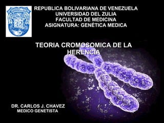 TEORIA CROMOSOMICA DE LA HERENCIA REPUBLICA BOLIVARIANA DE VENEZUELA UNIVERSIDAD DEL ZULIA FACULTAD DE MEDICINA ASIGNATURA: GENÉTICA MEDICA DR. CARLOS J. CHAVEZ MEDICO GENETISTA  