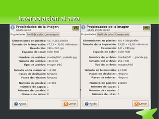 Interpolación al alza 