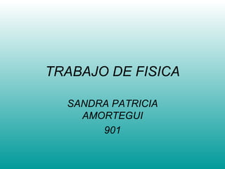 TRABAJO DE FISICA SANDRA PATRICIA AMORTEGUI 901 