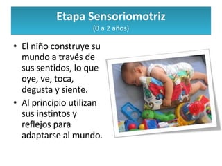 Etapa Sensoriomotriz (0 a 2 años) El niño construye su mundo a través de sus sentidos, lo que oye, ve, toca, degusta y siente. Al principio utilizan sus instintos y reflejos para adaptarse al mundo. 