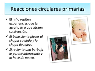 Reacciones circulares primarias El niño repiten experiencias que le agrandan o que atraen su atención. El bebe siente placer al chupar su dedo y lo chupa de nuevo Si revienta una burbuja le parece interesante y lo hace de nuevo. 