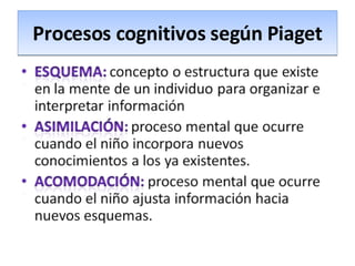 Procesos cognitivos según Piaget 