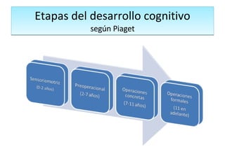 Etapas del desarrollo cognitivo según Piaget 