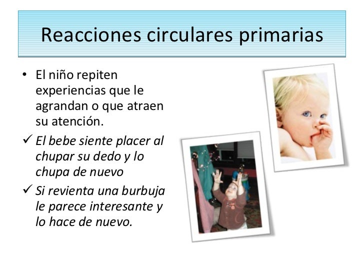Resultado de imagen para reacciones circulares primarias