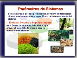 Parámetros de Sistemas   Se caracterizan, por sus propiedades, el valor y la descripción dimensional de un sistema específico o de un componente del sistema   Entrada, insumo o impulso (input): es la  fuerza de arranque del sistema , que  provee el material o la energía para la  operación del sistema. 