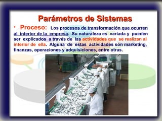 Parámetros de Sistemas   Proceso:  Los  procesos de transformación que ocurren al  interior de la  empresa .  Su naturaleza es  variada y  pueden ser  explicados  a través de  las  actividades que  se realizan al interior de  ella .  Alguna  de  estas  actividades son marketing, finanzas, operaciones y adquisiciones, entre otras.  