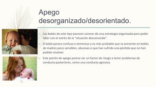 Apego
desorganizado/desorientado.
– Los bebés de este tipo parecen carecer de una estrategia organizada para poder
lidiar con el estrés de la “situación desconocida”.
– El bebé parece confuso o temeroso y es más probable que se presente en bebés
de madres poco sensibles, abusivas o que han sufrido una pérdida que no han
podido resolver.
– Este patrón de apego parece ser un factor de riesgo a tener problemas de
conducta posteriores, como una conducta agresiva.
 