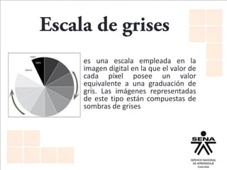 es una escala empleada en la
imagen digital en la que el valor de
cada píxel posee un valor
equivalente a una graduación de
gris. Las imágenes representadas
de este tipo están compuestas de
sombras de grises
 