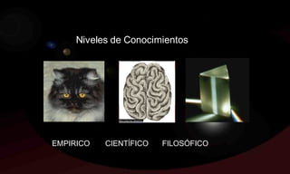 Niveles de Conocimientos




EMPIRICO   CIENTÍFICO   FILOSÓFICO
 