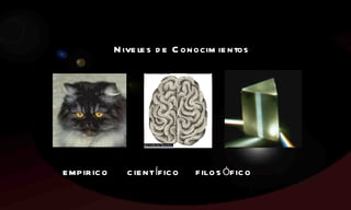 EMPIRICO  CIENTÍFICO   FILOSÓFICO   Niveles de Conocimientos 