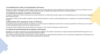 3. Coordinación de la visión y de la aprehensión: (4-10 meses)
Durante este estadio de desarrollo los bebés repiten acciones que les resultan placenteras, tanto aquellas que involucran objetos, como las que implican acciones
sus propios cuerpos. Un ejemplo de esto es cuando el niño que sacude su sonajero por el placer de escuchar el sonido que produce.
4.Coordinación de esquemas secundarios: (10-12 meses)
En lugar de simplemente realizar acciones que les resultan interesantes, los bebés ahora muestran signos de una habilidad para usar sus conocimientos adquiridos
para alcanzar una meta.
Por ejemplo, el bebé no sólo sacudirá el sonajero, sino que tratará de alcanzar y moverá a un lado algún objeto que se interpone en su camino hacia agarrar el
sonajero.
5. Diferenciación de los esquemas de acción: (12-18 meses)
Éstas difieren de las reacciones circulares secundarias en el sentido de que son adaptaciones intencionales a situaciones específicas. El niño que una vez exploró
un objeto separándolo ahora trata de volver a poner todo junto.
Por ejemplo, apila los ladrillos que sacó previamente de su camión o vuelve insertar los bloques uno dentro de otro.
6. Comienzo de la interiorización de los esquemas: (18-24 meses)
Finalmente, en el último escalón está el inicio del pensamiento simbólico. Este estadio es transicional a la etapa pre operacional del desarrollo cognoscitivo. Los
bebés ahora son capaces constituir representaciones mentales de objetos.
Esto significa que han desarrollado la capacidad de visualizar objetos que no están físicamente presentes. Esto es crucial para la adquisición de la permanencia del
objeto – el logro más fundamental de toda la etapa sensoriomotora del desarrollo.
•
 