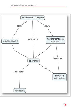 Teoria General De Sistemas