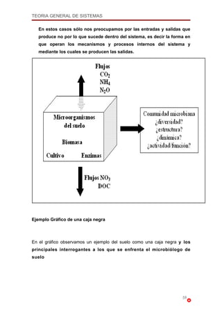 Teoria General De Sistemas