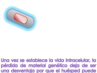 Una vez se establece la vida intracelular, la
pérdida de material genético deja de ser
una desventaja por que el huésped puede
 