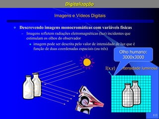 113
Imagens e Vídeos Digitais
 Descrevendo imagens monocromáticas com variáveis físicas
– Imagens refletem radiações eletromagnéticas (luz) incidentes que
estimulam os olhos do observador
 imagem pode ser descrita pelo valor de intensidade de luz que é
função de duas coordenadas espaciais (ou três)
I(x,y) = intensidade luminosa
Olho humano:
3000x3000
Digitalização
 