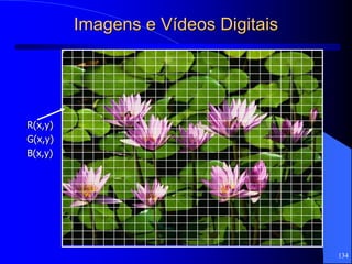 134
Imagens e Vídeos Digitais
R(x,y)
G(x,y)
B(x,y)
 