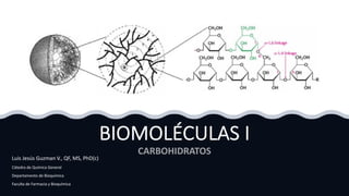 BIOMOLÉCULAS I
Luis Jesús Guzman V., QF, MS, PhD(c)
Cátedra de Química General
Departamento de Bioquímica
Faculta de Farmacia y Bioquímica
 