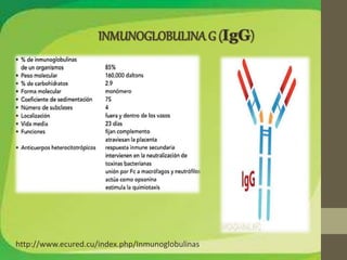 http://www.ecured.cu/index.php/Inmunoglobulinas 
 